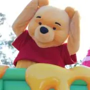 sayuの画像