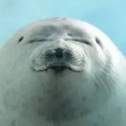 しみーの画像