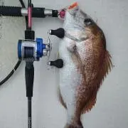 ハンチ