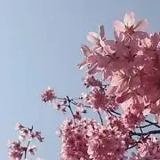 あめ (バラ売りはプロフ参照)の画像