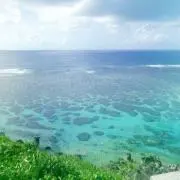 ぷーの画像