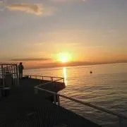 しゅうの画像