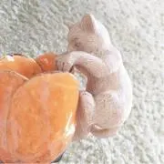 minaの画像