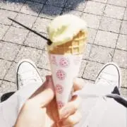 さかなの画像