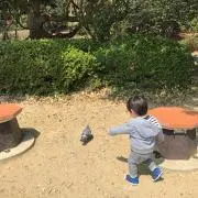ハチの画像