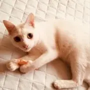 touch0266の画像