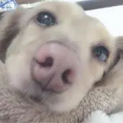 m...の画像