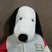 すぬさんの画像