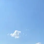 ぼーの画像