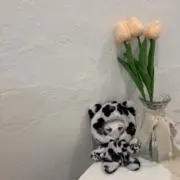 スイの画像