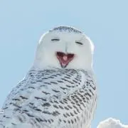 ゆう