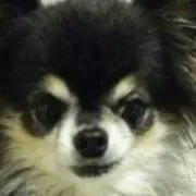 よっすういー