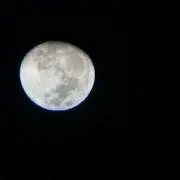 akoの画像