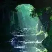 Reiの画像