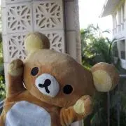 りらっくま