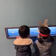 みーの画像