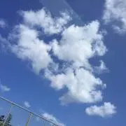 しゅりの画像