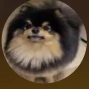 ★てて★の画像