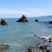 FreeDomの画像