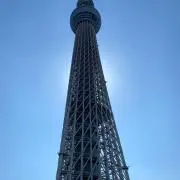 カリメロ