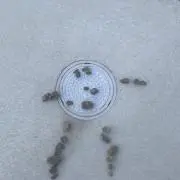 ✳︎✳︎ママお気軽にご相談ください☺︎の画像