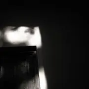 やの画像
