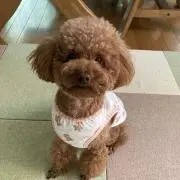 アヤちゃん