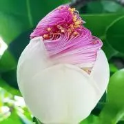 もんも）プロフィールご一読くださいの画像