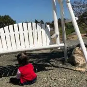 TOMの画像