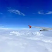 とんかつまんの画像