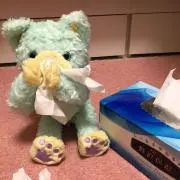 ささかまの画像