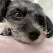 6/3,4日発送できません★Happy☆の画像