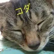Mayumi