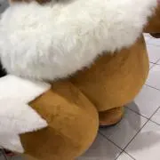 ゆうは✳︎の画像