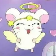 きの☆断捨離中☆の画像