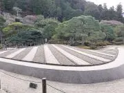 よしこの画像