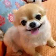 ☆ラッキー☆