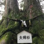 taroroの画像