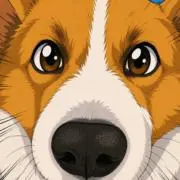 コロコギ プロフ要確認の画像