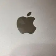 すがっしー
