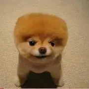 ののの画像