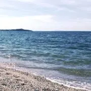 MYU
