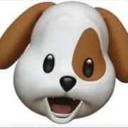 だいの画像