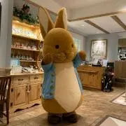 ぴーのすけの画像