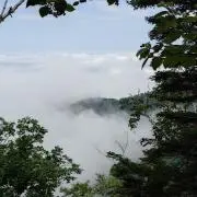 ★土曜,日曜,祝日,平日も発送可能です★の画像