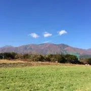 yoshiの画像