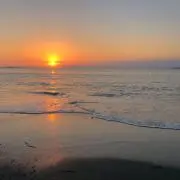 YU☆の画像