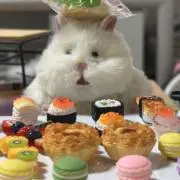 ハムちゃんの画像