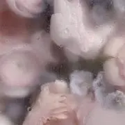 milkcookieの画像