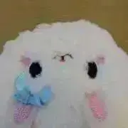 ぐりの画像